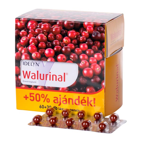 Walurinal aranyvesszővel kapszula 90x (60+30x)